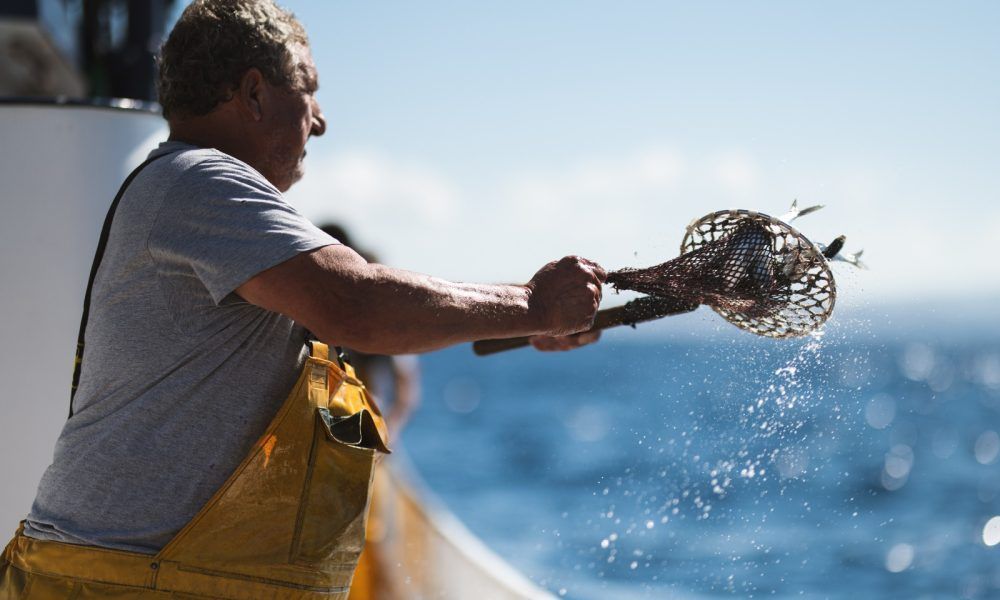Pescador arrojando cebo