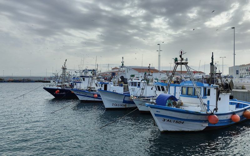 Barcos pesqueros del puerto de Tarifa