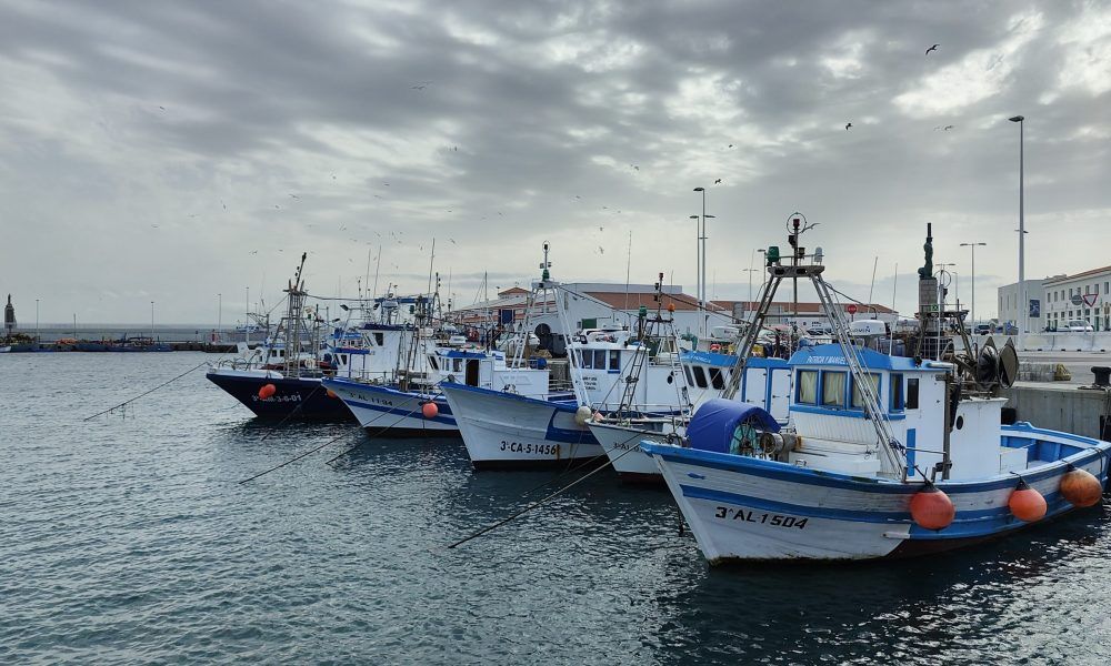 Barcos pesqueros del puerto de Tarifa
