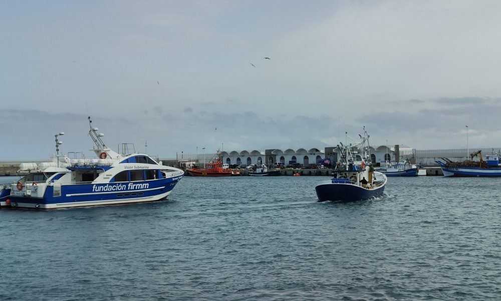 Barco pesquero zarpando
