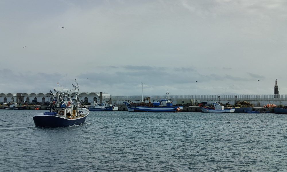 Barco pesquero zarpando